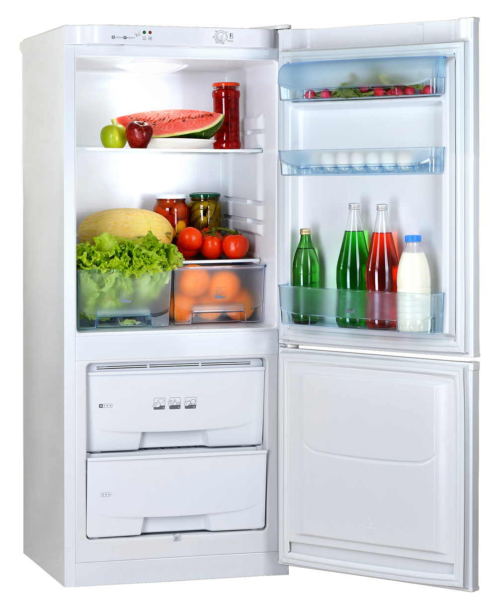 Холодильник двухкамерный POZIS RK-101 белый